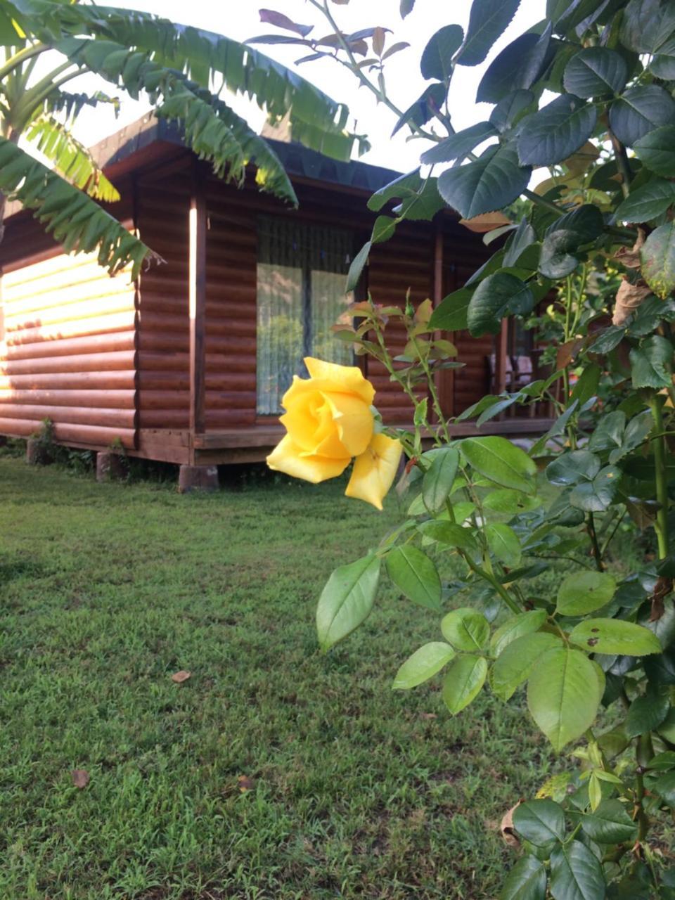 Cirali Armira Bungalow Екстер'єр фото